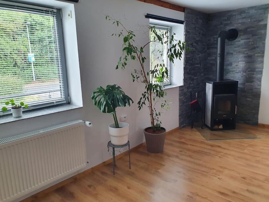 Kornhaus - Schoene Ferienwohnung Mit Pool, Kamin Und Terrasse Göttingen Exterior foto
